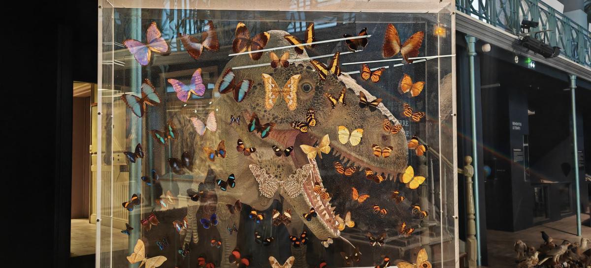 Atelier "Crée ton portrait de dino !" Atelier "Crée ton portrait de dino !"