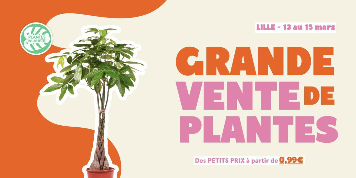 Grande Vente de Plantes à Lille