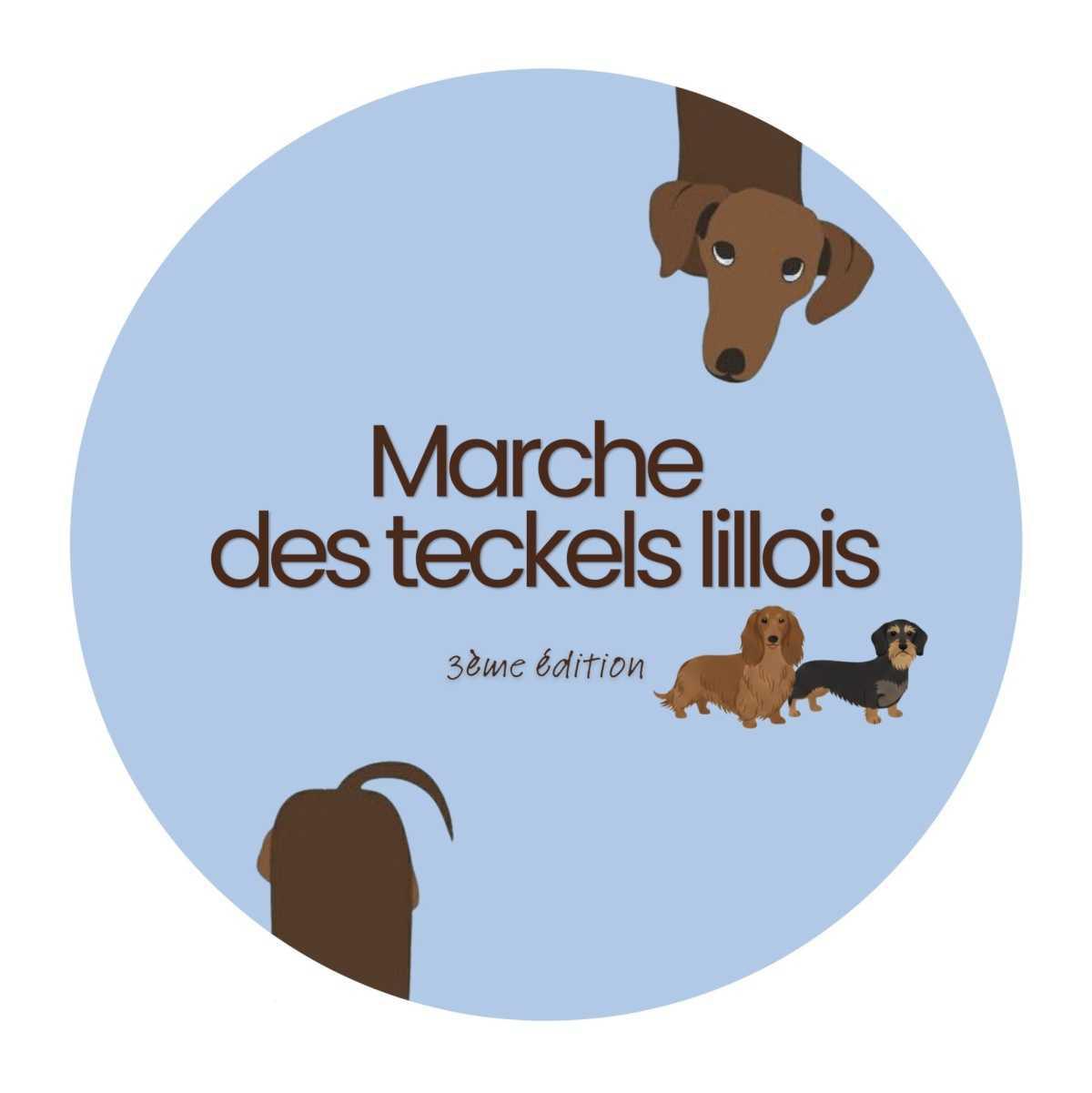 Marche des teckels lillois au Palais des Beaux-Arts