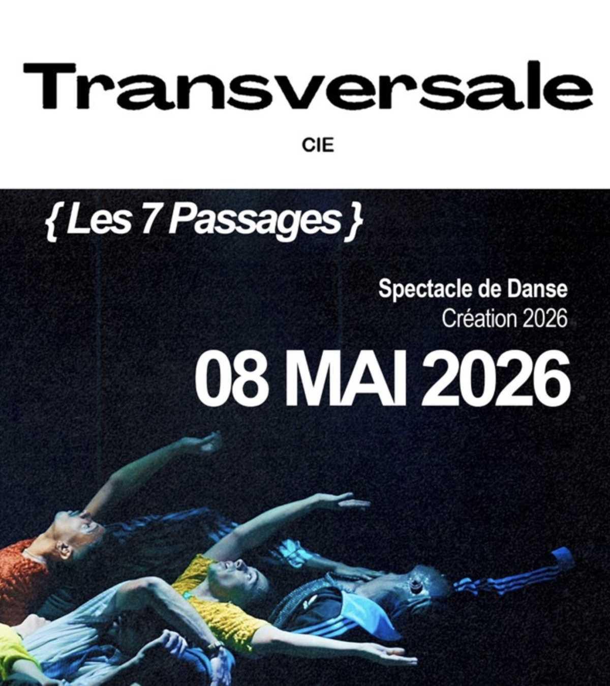 Transversale au Théâtre Comédie de Lille Transversale au Théâtre Comédie de Lille