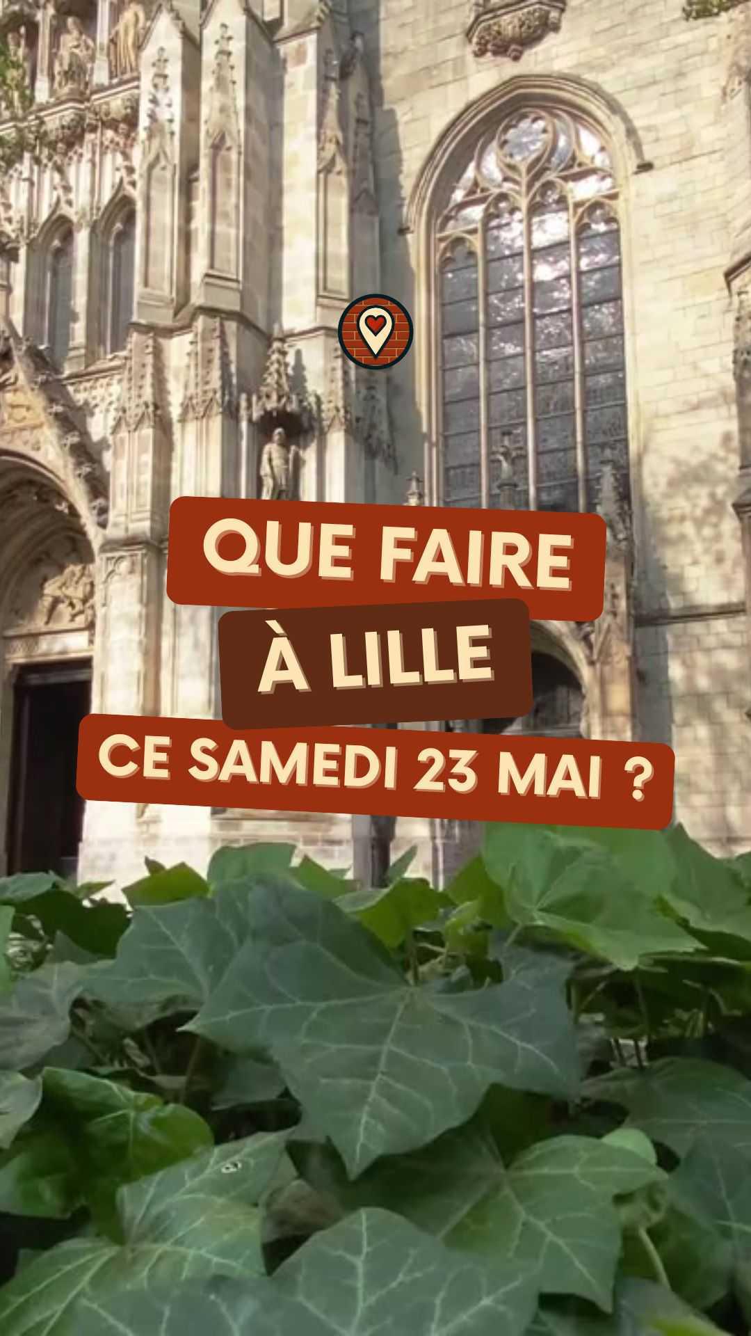 Que faire à Lille ce samedi 23 mai ? Notre sélection 2026