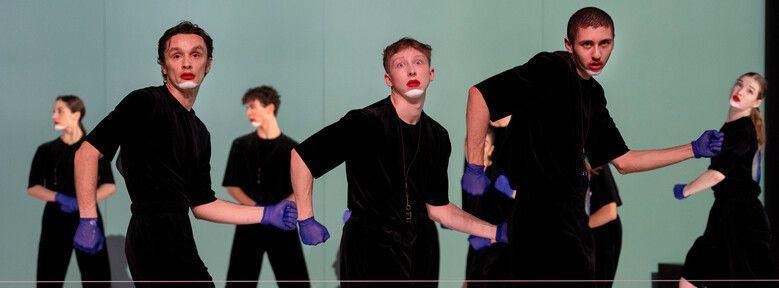 Canine Jaunâtre 3 à l'Opéra de Lille