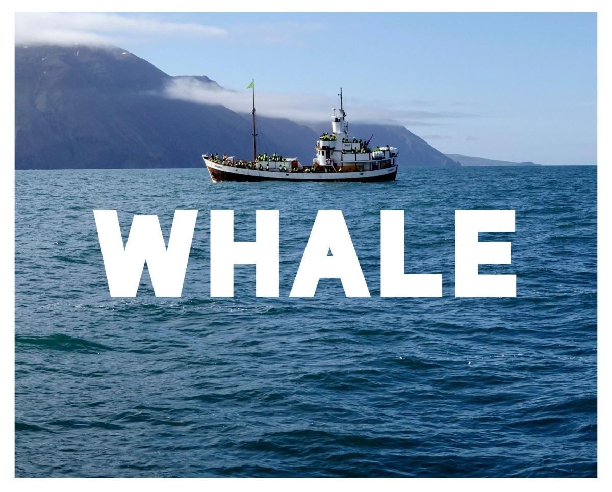 WHALE au Théâtre de la Verrière WHALE au Théâtre de la Verrière