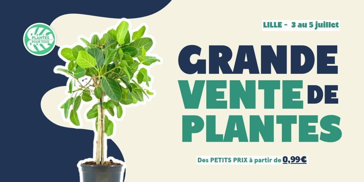 Grande Vente de Plantes à Lille