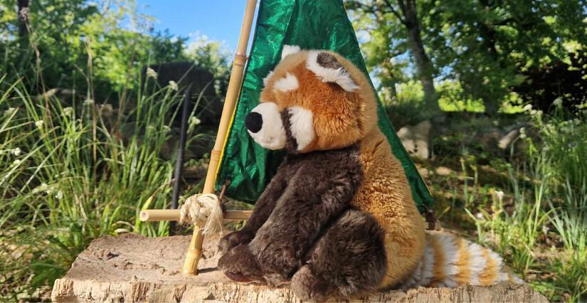 Atelier parent-enfant « À la découverte du zoo » au Zoo de Lille Atelier parent-enfant « À la découverte du zoo » au Zoo de Lille