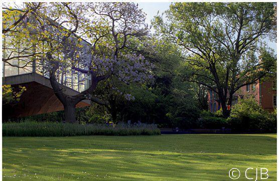 Visite à deux voix Nature et architecture au Jardin des plantes