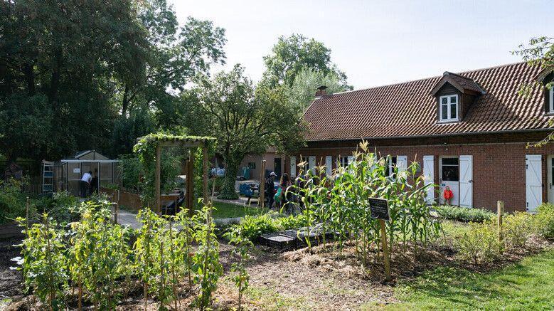 Création d été à la Ferme Pédagogique Marcel Dhénin