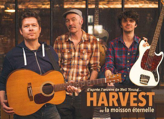 Concert au jardin avec le Trio Harvest à la Médiathèque Jean Lévy Concert au jardin avec le Trio Harvest à la Médiathèque Jean Lévy