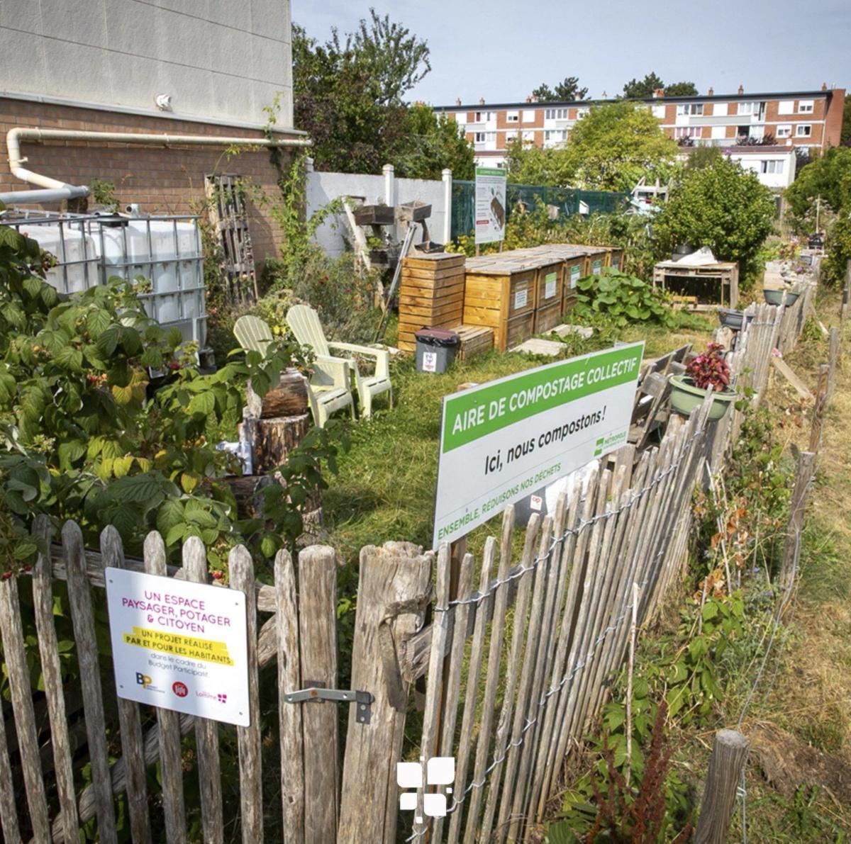 Les Mains dans la Terre : les adventices au Jardin partagé du Marais à Lomme