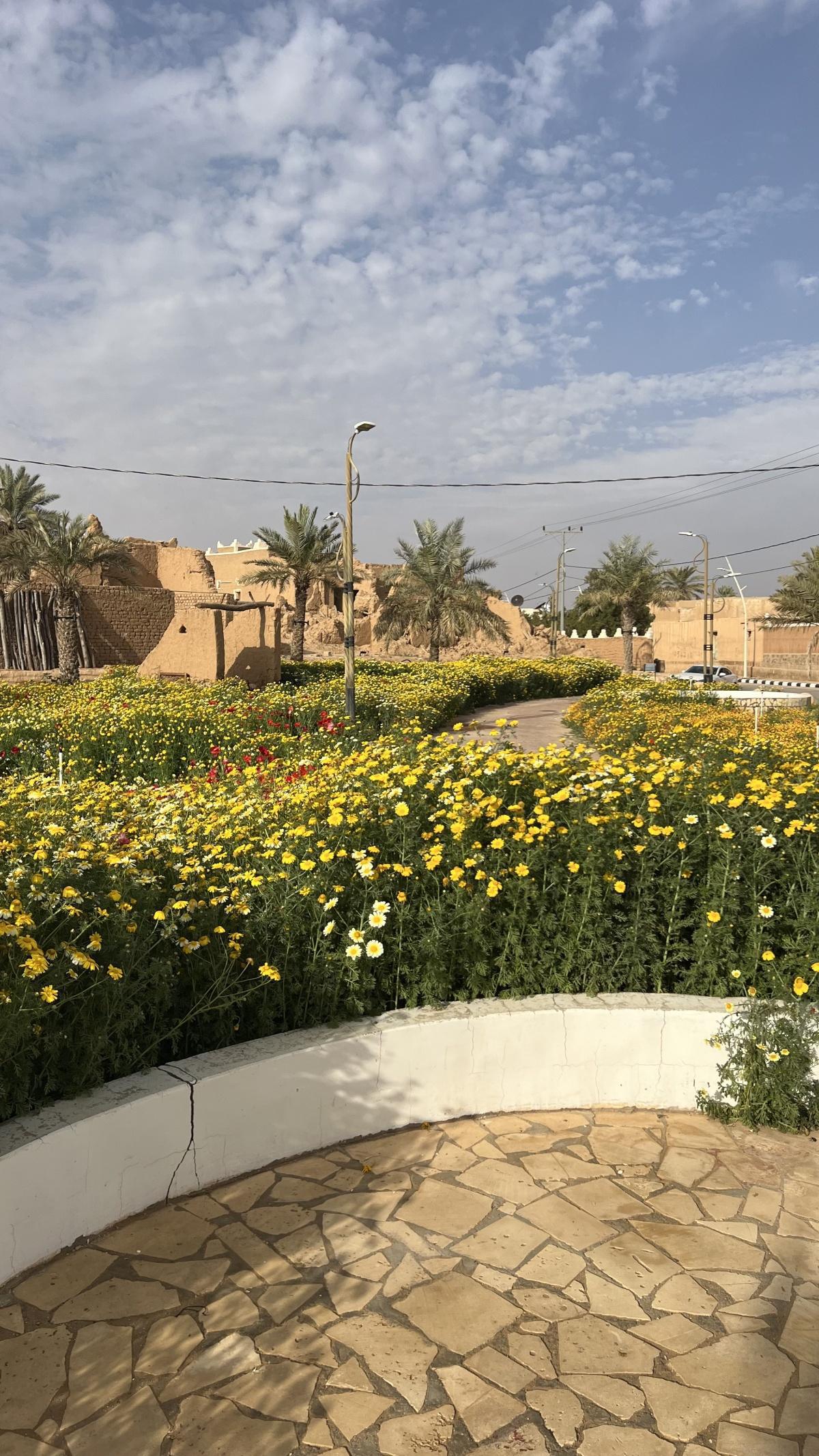 Historical Harma - القرية التراثية بحرمة Historical Harma - القرية التراثية بحرمة