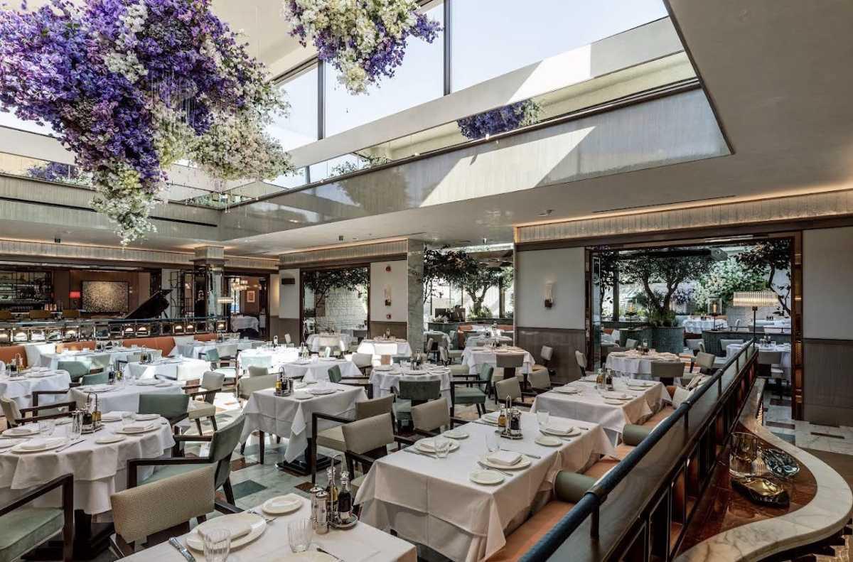 Signor Sassi Riyadh - سنيور ساسي Signor Sassi Riyadh - سنيور ساسي