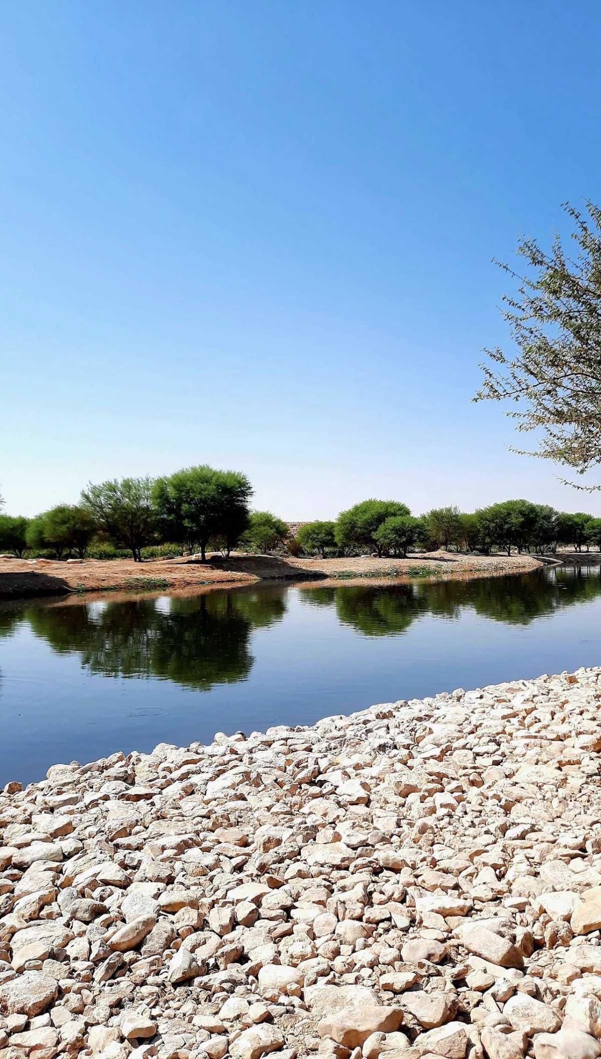 Lakes Park - منتزة البحيرات Lakes Park - منتزة البحيرات