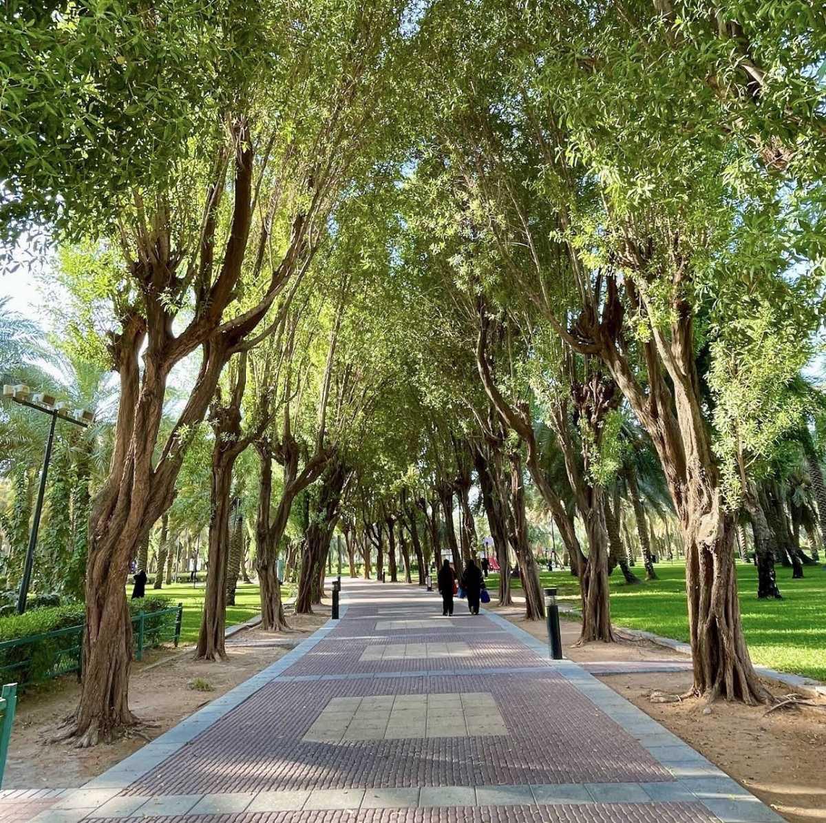 Salam Park - منتزة السلام Salam Park - منتزة السلام