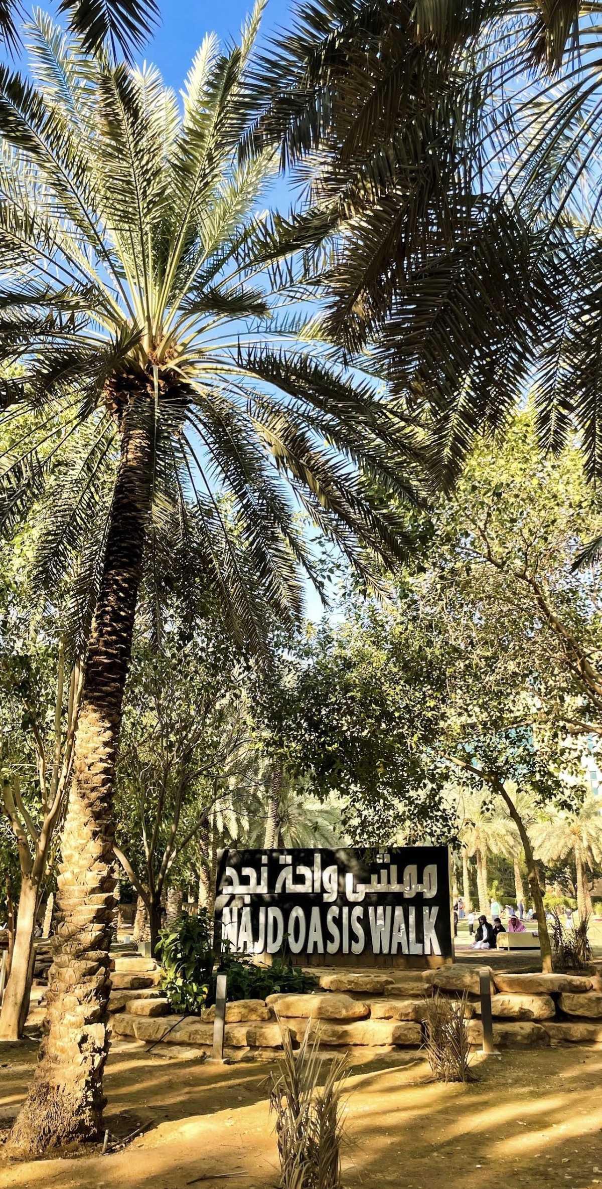 The Najd Oasis - منتزه واحة نجد The Najd Oasis - منتزه واحة نجد