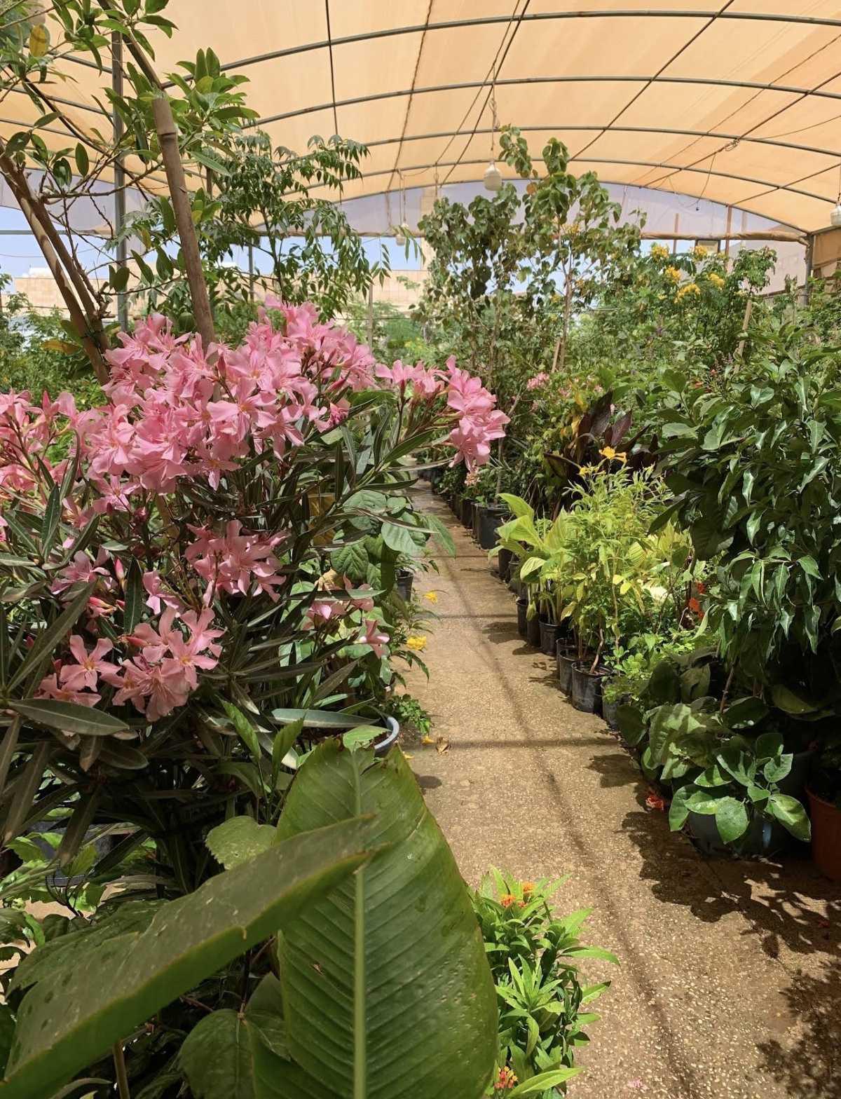 Al-Nafal Park - منتزه حي النفل Al-Nafal Park - منتزه حي النفل