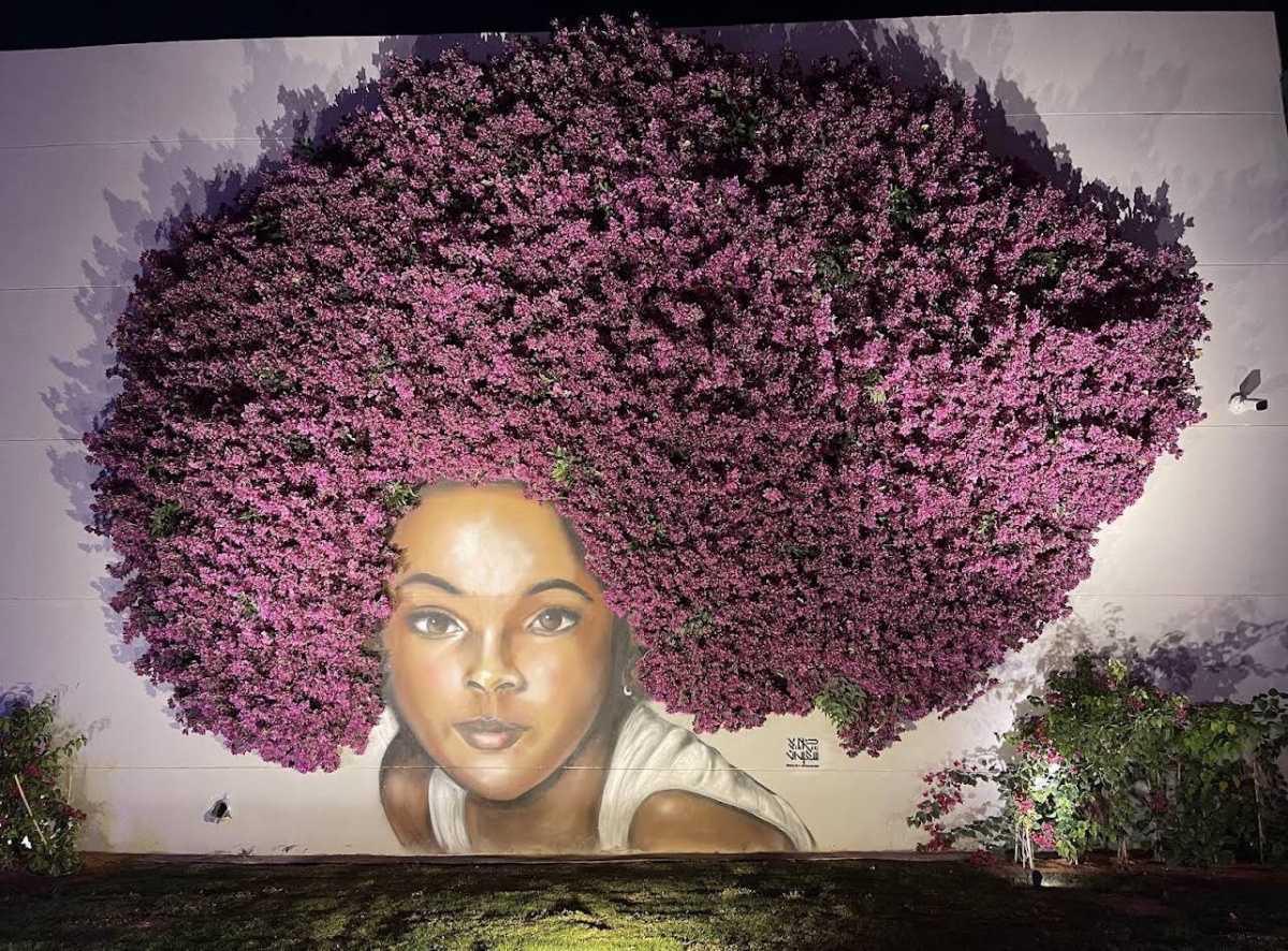 Boulevard City - بوليفارد سيتي Boulevard City - بوليفارد سيتي