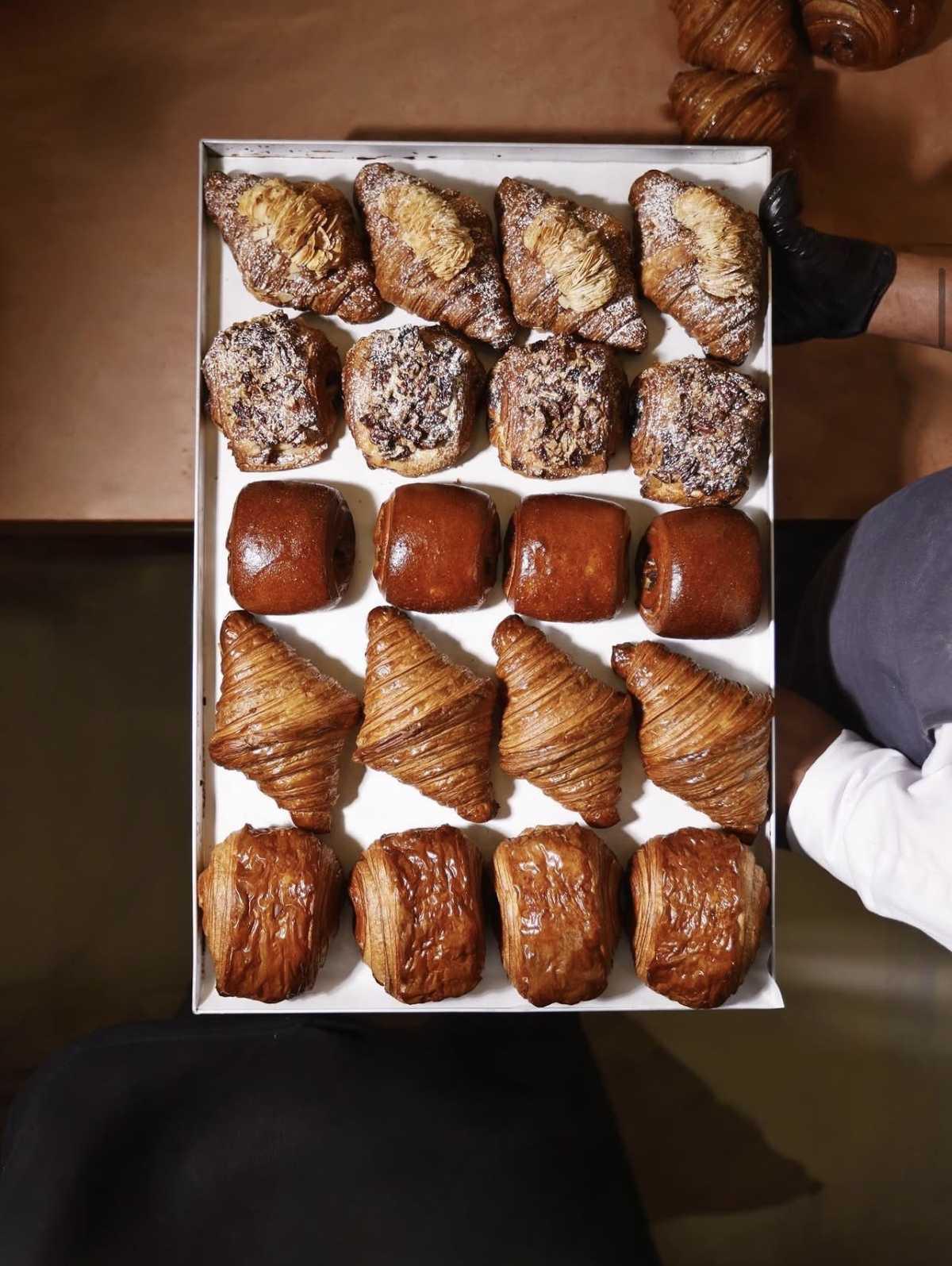 Chestnut Bakery تشسنت بيكري Chestnut Bakery تشسنت بيكري