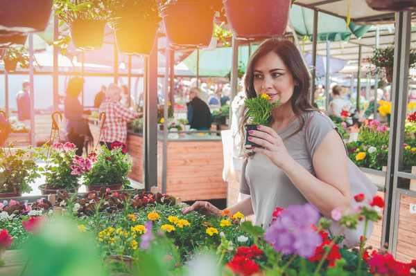 Memmingen blüht Memmingen blüht