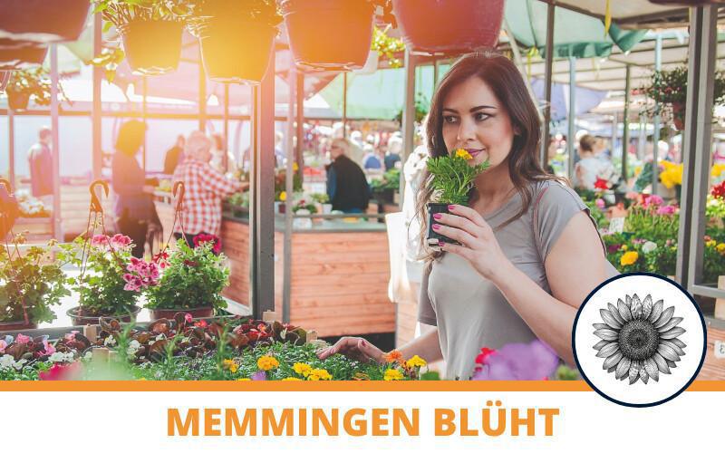 Memmingen blüht