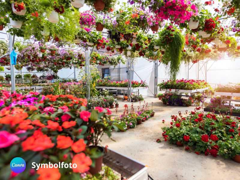 Kutter Pflanzen GmbH