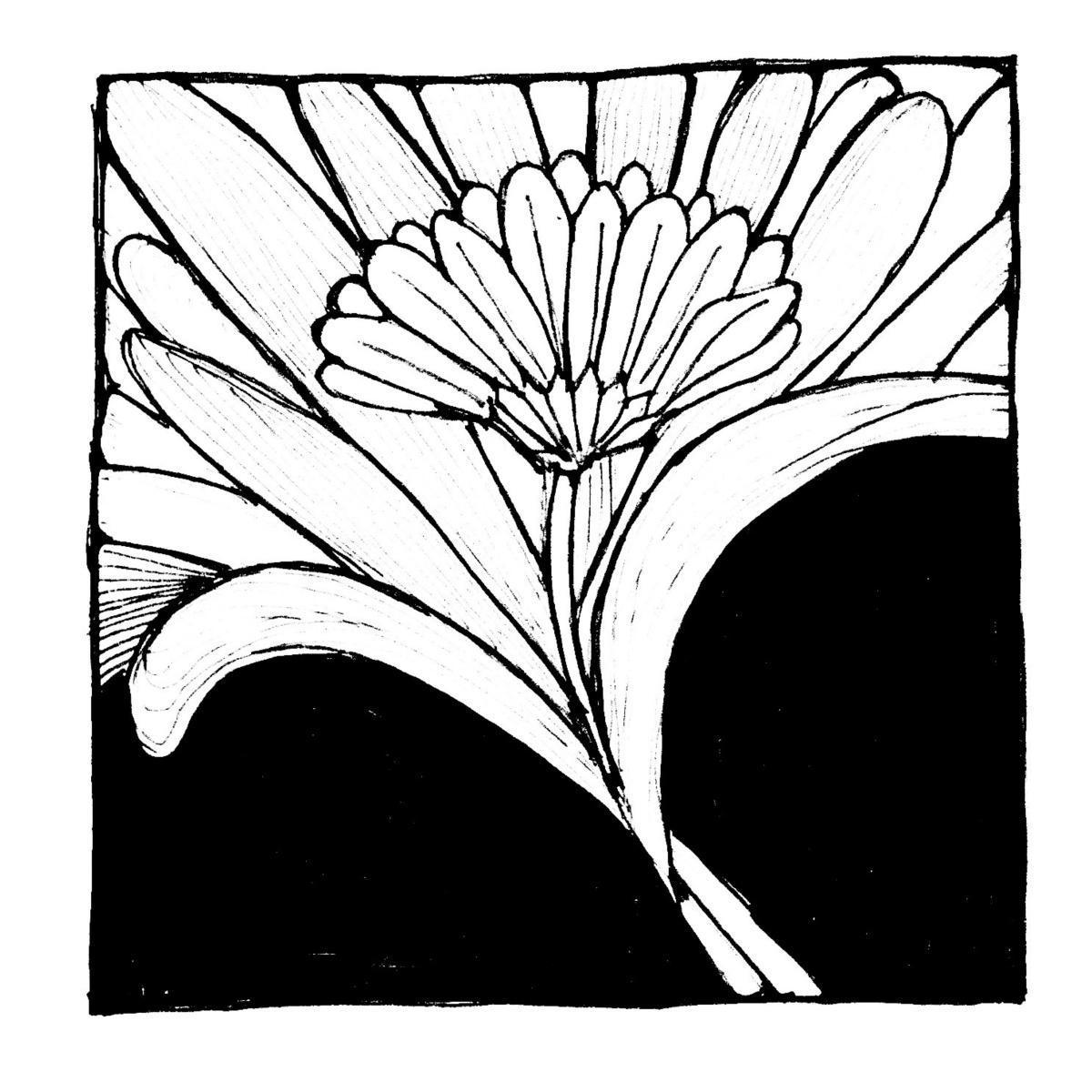 Theorie hinter den Übungen