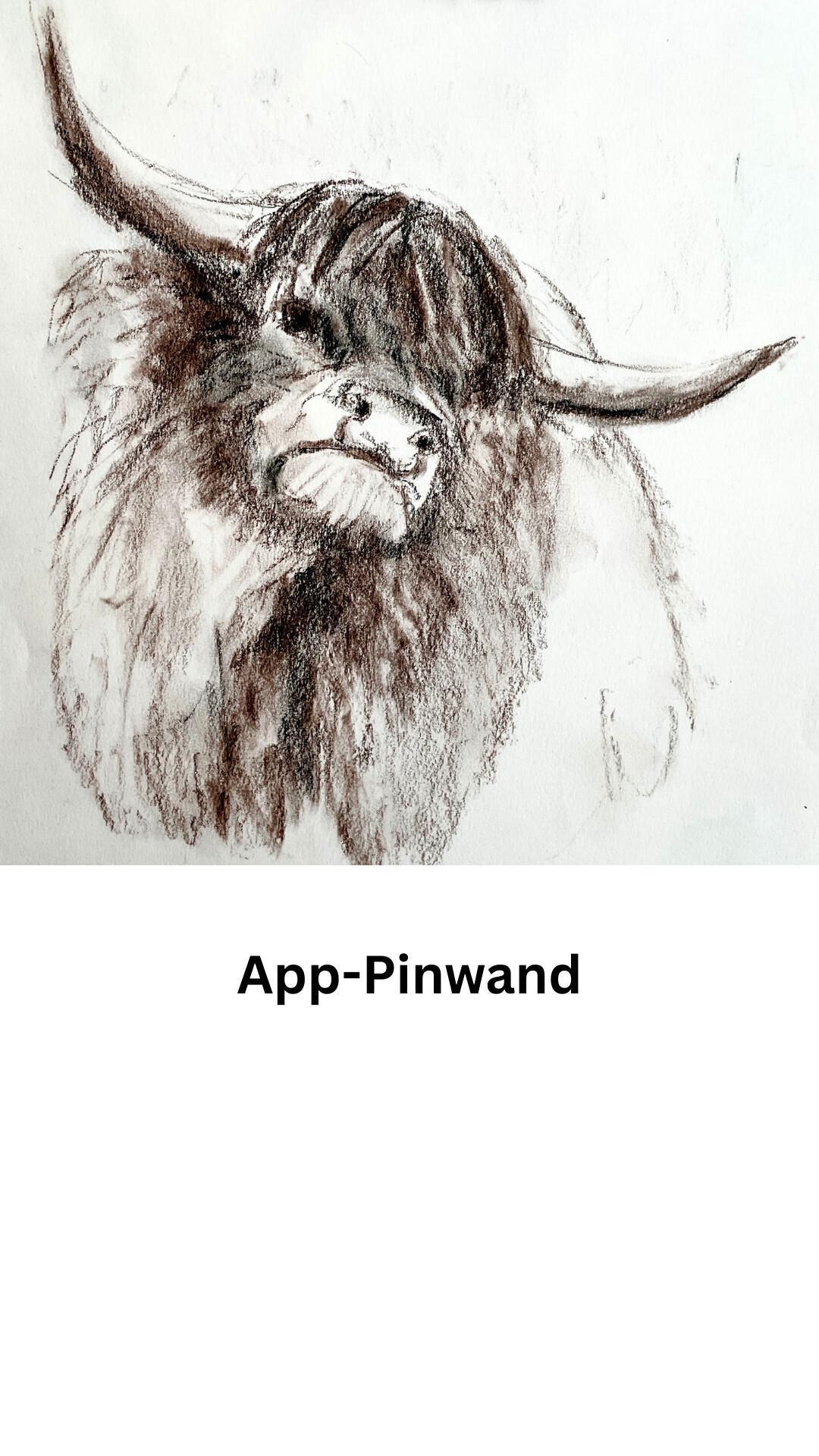 App-Pinnwand App-Pinnwand