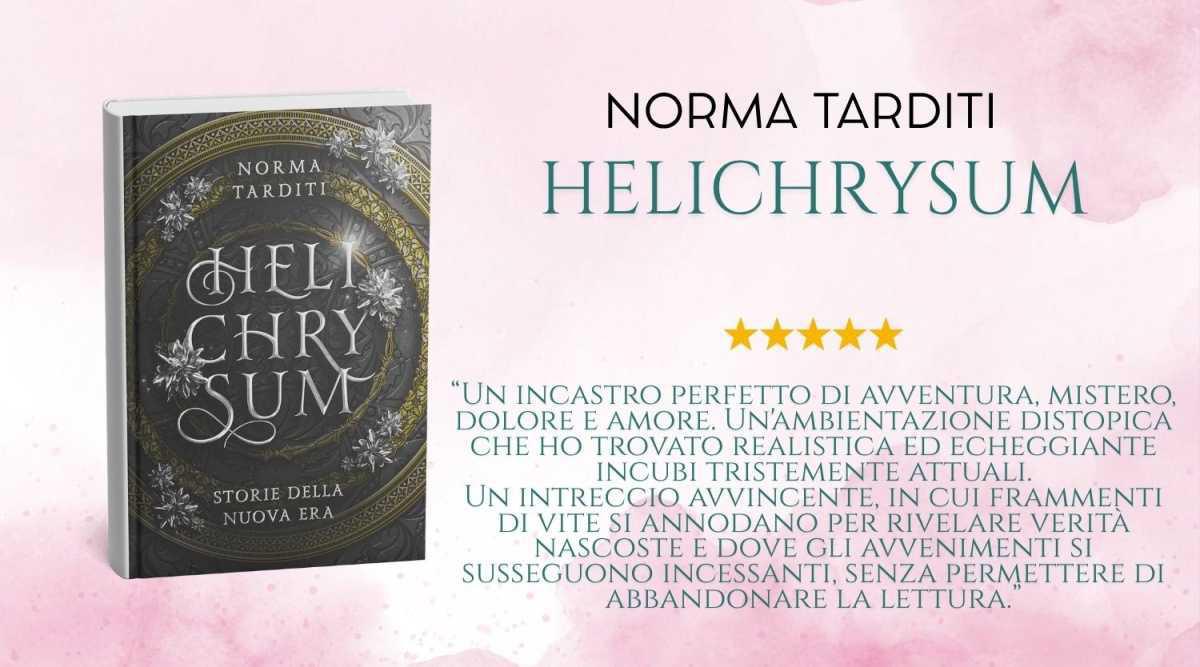 NORMA TARDITI