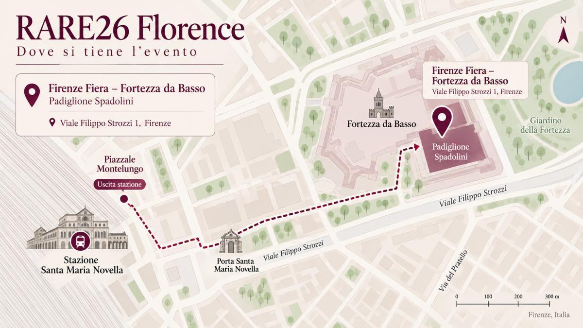 RARE 26 FIRENZE