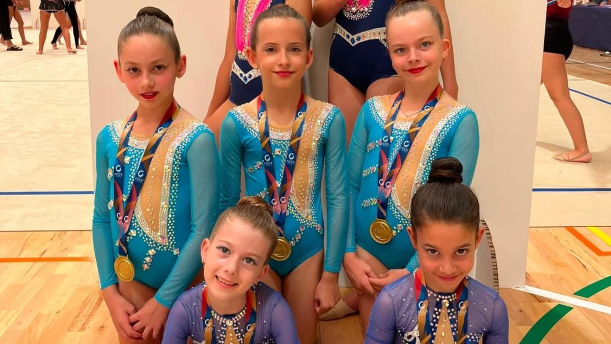 El Club Deportivo Algar lleva 22 gimnastas al Autonómico del Trofeo Federación Básico de Gimnasia Artística tras arrasar en el Provincial