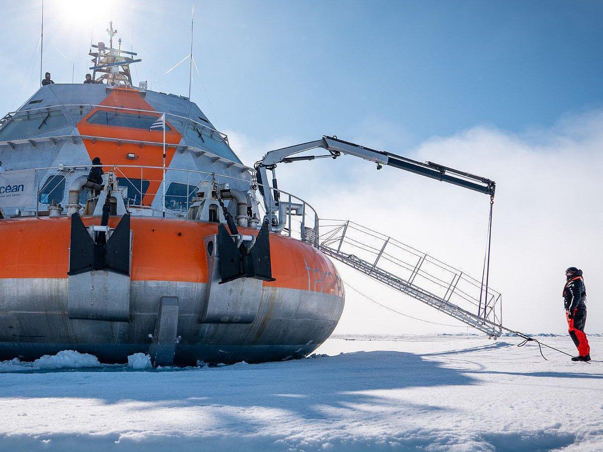 Tara Polar Station : le laboratoire flottant qui réinvente l'exploration polaire Tara Polar Station : le laboratoire flottant qui réinvente l'exploration polaire