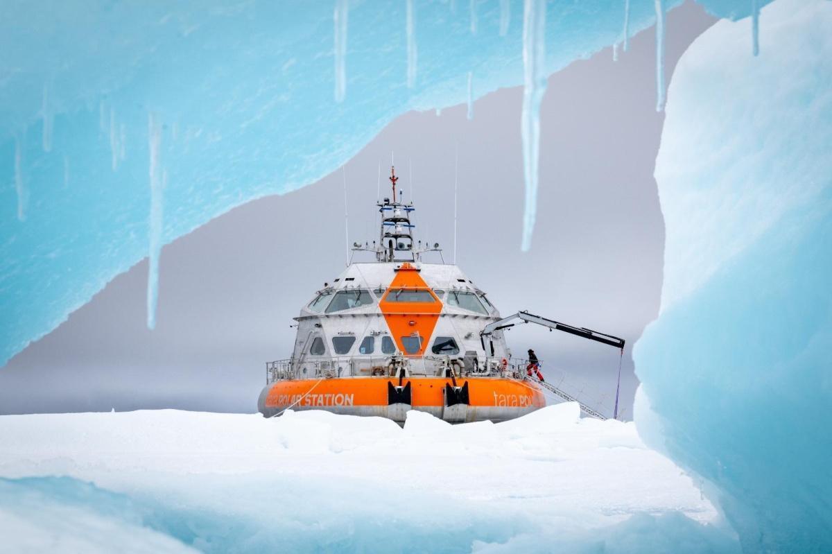 Tara Polar Station : le laboratoire flottant qui réinvente l'exploration polaire