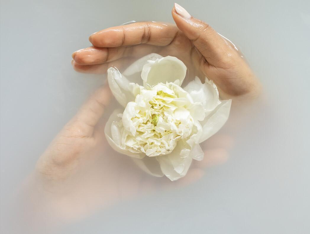 SOFTEN: From Survival to Safety