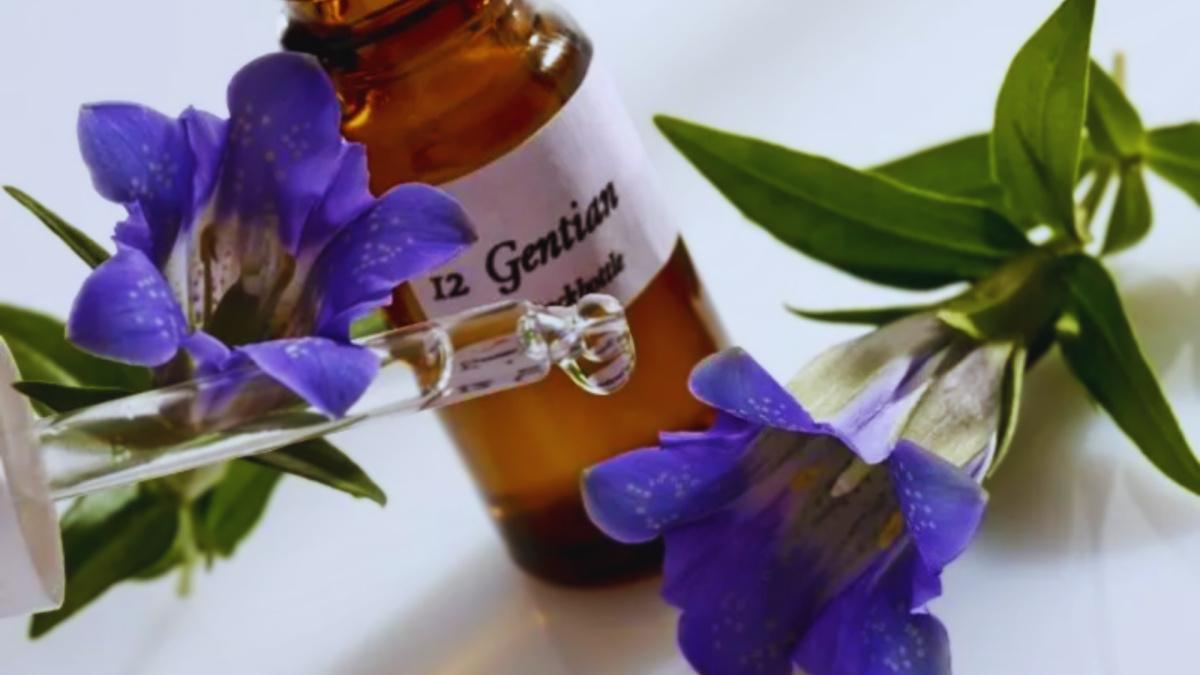 Test sui Fiori di Bach