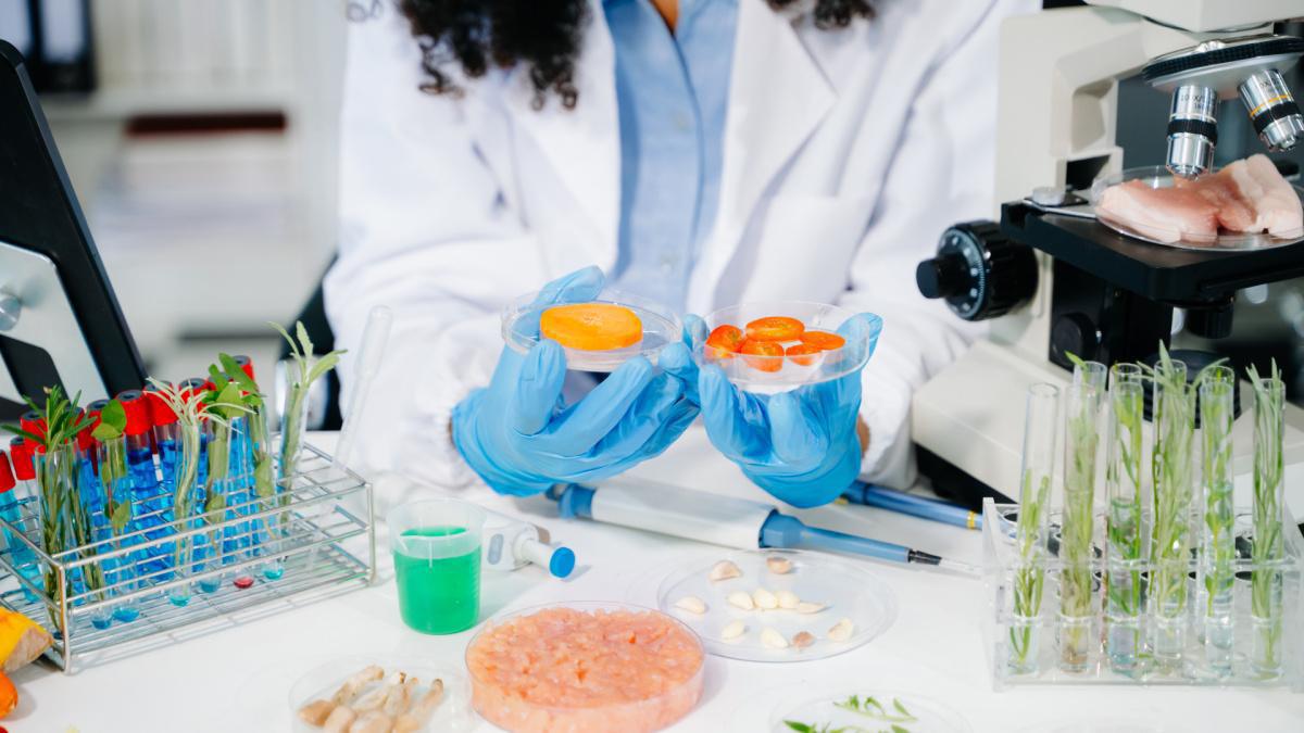 Esame delle intolleranze alimentari Esame delle intolleranze alimentari