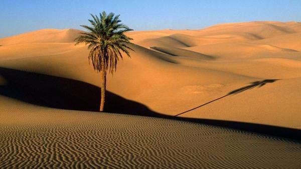Interrupção de férias por morte de familiar Interrupção de férias por morte de familiar
