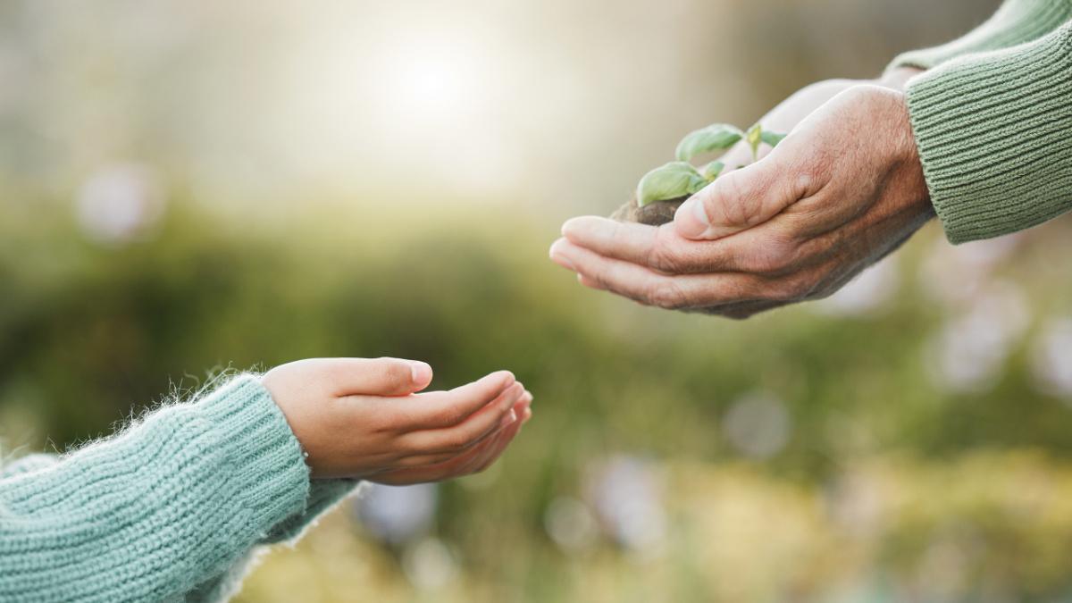 Scriptures On Giving