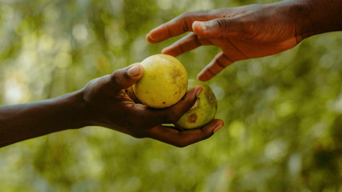 Scriptures On Giving Scriptures On Giving