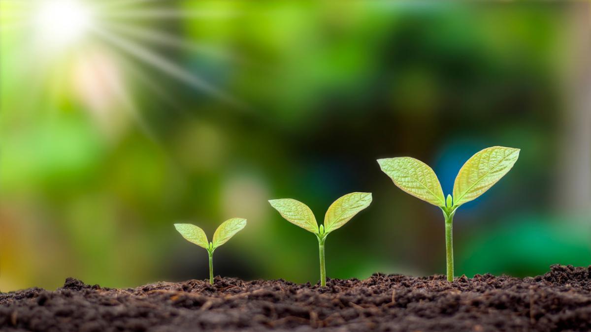 Grow Anyway