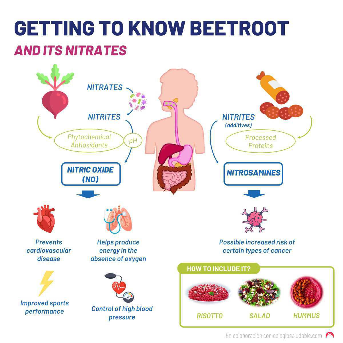 La remolacha y sus nitratos