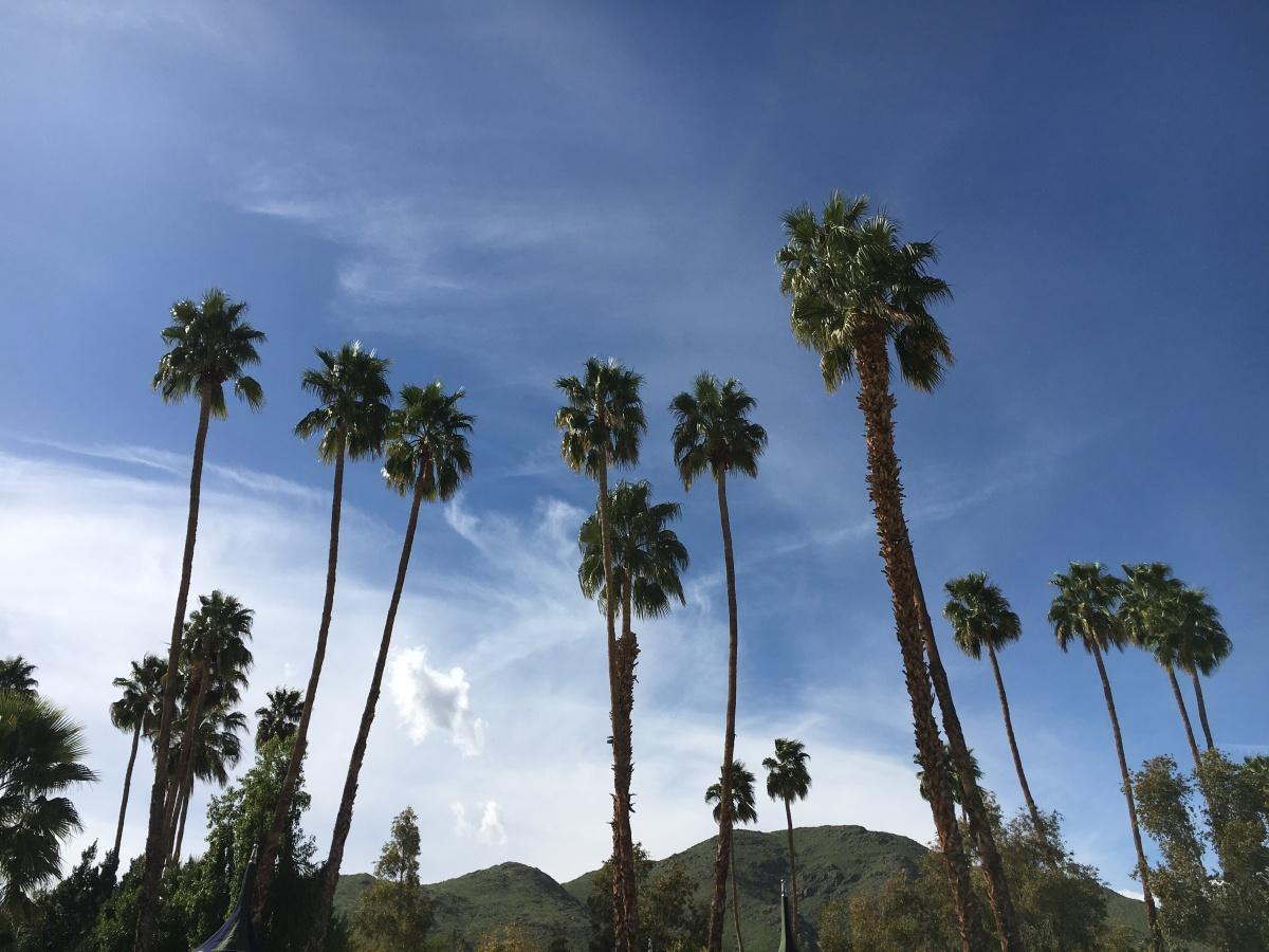 Movement Co. Desert Retreat: Palm Springs