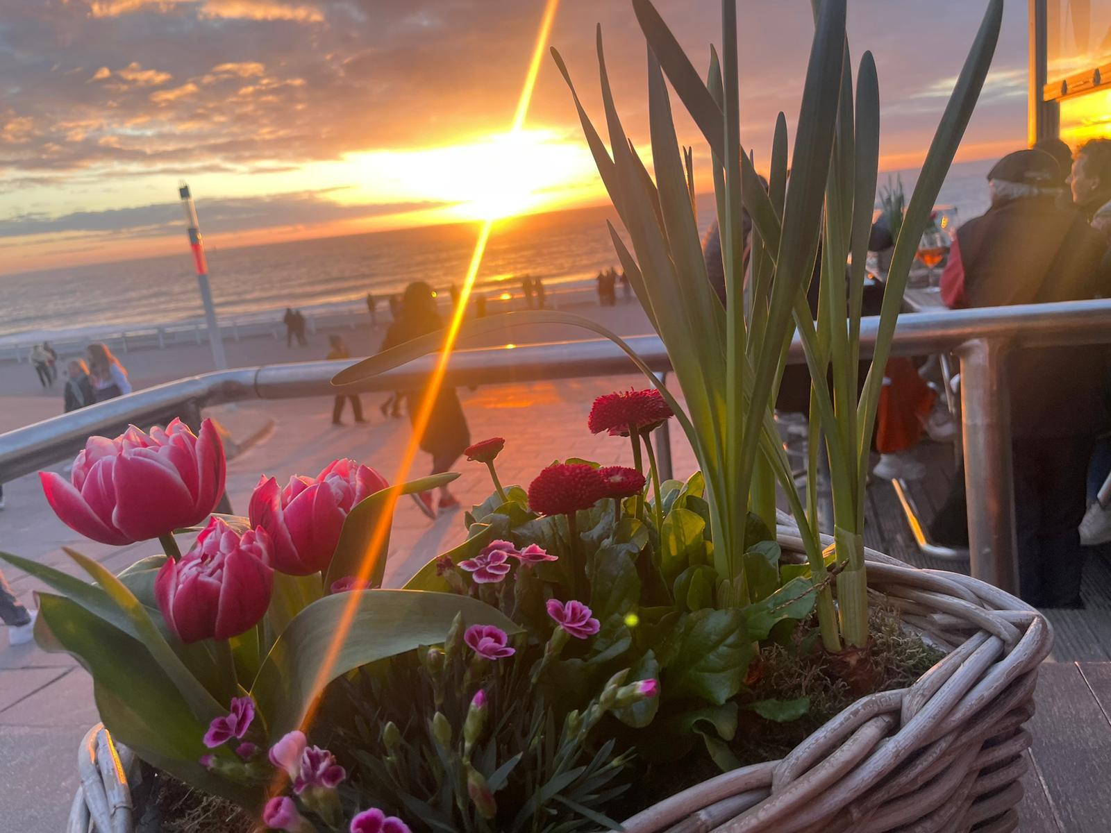 aa55b472-a3a0-434b-8d6e-ec8534749750