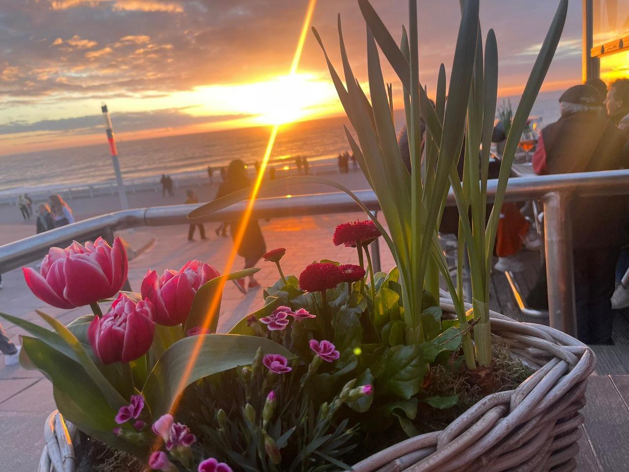 aa55b472-a3a0-434b-8d6e-ec8534749750