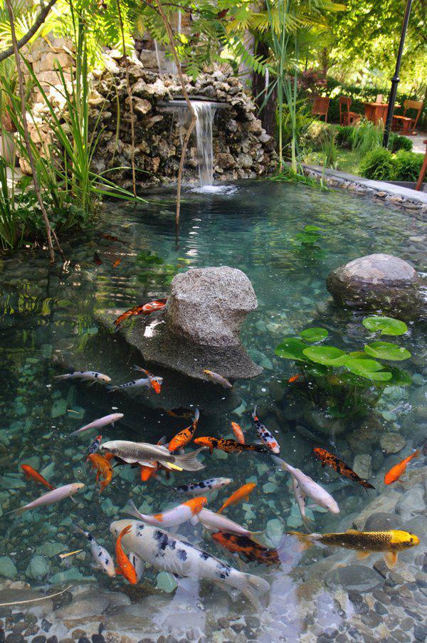 Ресторант "Тифани" Ресторант "Тифани"