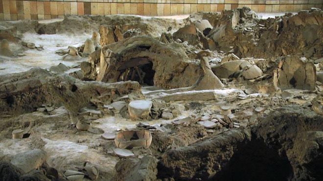 Музей „Неолитни жилища“ Музей „Неолитни жилища“