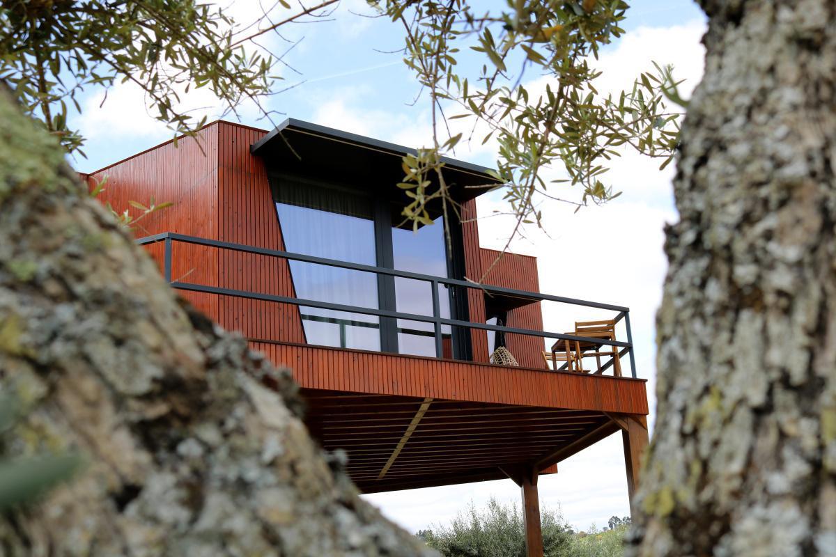 Côa Honeycomb - Agroturismo Côa Honeycomb - Agroturismo