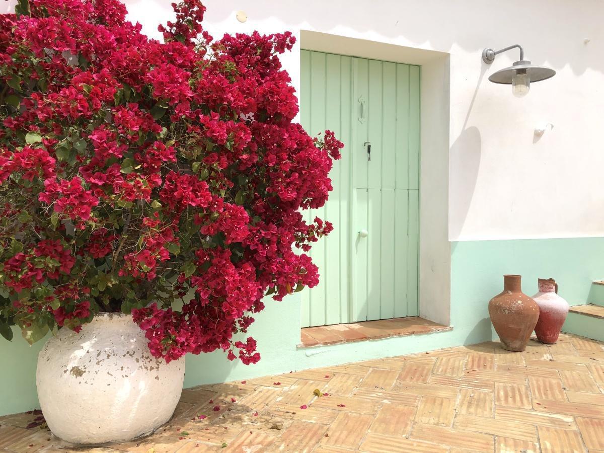 Herdade de Alagães Herdade de Alagães