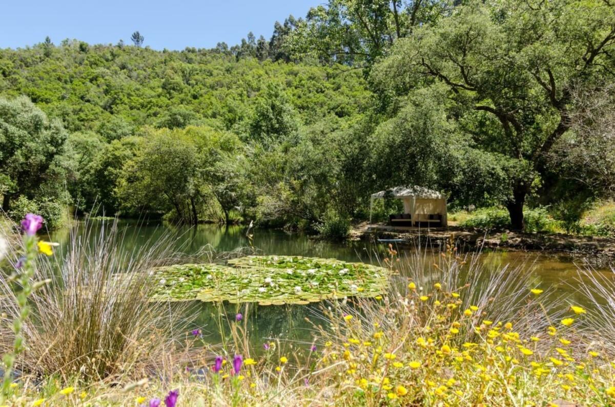 Selão da Eira Velha Selão da Eira Velha