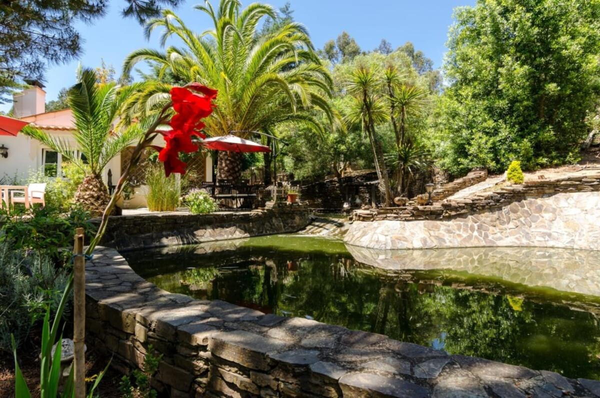 Selão da Eira Velha Selão da Eira Velha