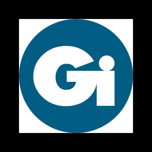 GI Groupe interim GI Groupe interim