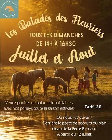 Balade à poney